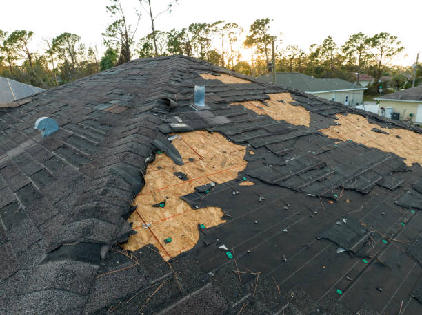 Best Asphalt Shingle Roofing  in Orosi, CA